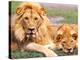 Pair of African Lions, Tanzania-David Northcott-Premier Image Canvas