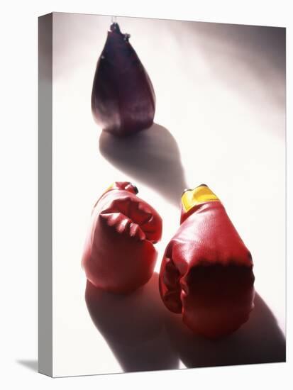 Pair of Boxing Gloves-null-Premier Image Canvas