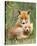 Pair of Cuddling Red Fox Cubs-null-Stretched Canvas