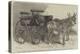Pair of Donkeys in Harness Exhibited by Miss Burdett Coutts at the Mule and Donkey Show in the Agri-Harden Sidney Melville-Premier Image Canvas