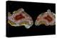 Pair of Mexican Laguna Banded Agate, Quartzsite, AZ-Darrell Gulin-Premier Image Canvas