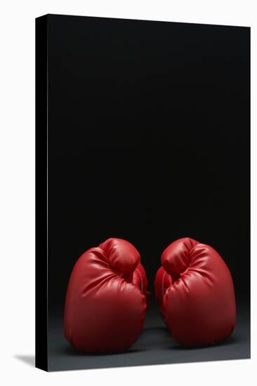 Pair of Red Boxing Gloves-null-Stretched Canvas