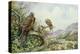 Pair of Red Kites in an Oak Tree-Carl Donner-Premier Image Canvas