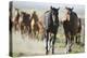Pair of Running Quarter Horses-DLILLC-Premier Image Canvas