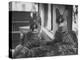 Pair of Servals, Pets of a Big Tobacco Farm Owner-James Burke-Premier Image Canvas