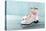 Pair Of White Women'S Ice Skates-Anna-Mari West-Stretched Canvas