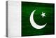 Pakistan Flag Design with Wood Patterning - Flags of the World Series-Philippe Hugonnard-Stretched Canvas