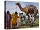 Pakistan Folk Dancers Perform; Owner Sits with His Camel, Annual Festival Horse and Cattle Show-null-Premier Image Canvas