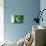 Pakistani Flag-daboost-Stretched Canvas displayed on a wall