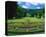 Palace Garden Kassel Germany-null-Stretched Canvas