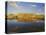 Palace of Versailles, Ile-De-France, France, Europe-David Hughes-Premier Image Canvas