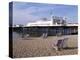 Palace Pier, Brighton, East Sussex, England, United Kingdom-Walter Rawlings-Premier Image Canvas