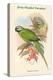 Palaeornis Caniceps - Grey-Headed Parakeet-John Gould-Stretched Canvas