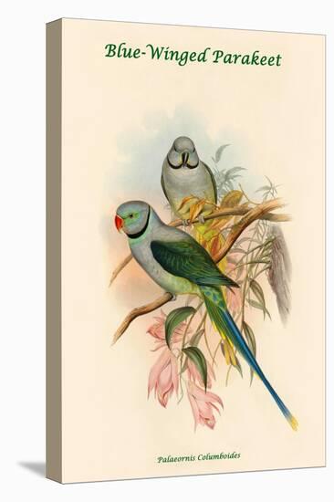 Palaeornis Columboides - Blue-Winged Parakeet-John Gould-Stretched Canvas