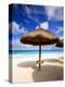 Palapa Umbrella on Cancun Beach, Mexico-George Oze-Premier Image Canvas