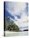 Palau, Honeymoon Island, Rock Islands, View of Beach with Palm Trees-Stuart Westmorland-Premier Image Canvas