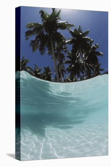 Palau, View of Islands Tree, World Heritage Site-Stuart Westmorland-Premier Image Canvas
