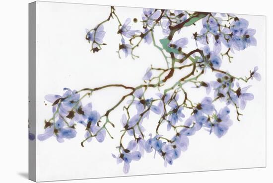 Pale Azure-Jackie Battenfield-Stretched Canvas