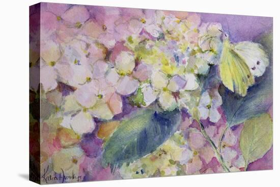 Pale Clouded Yellow Butterfly, Colias Hyale on Hydrangea-Karen Armitage-Premier Image Canvas