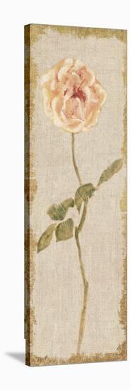 Pale Rose Panel on White Vintage-Cheri Blum-Stretched Canvas