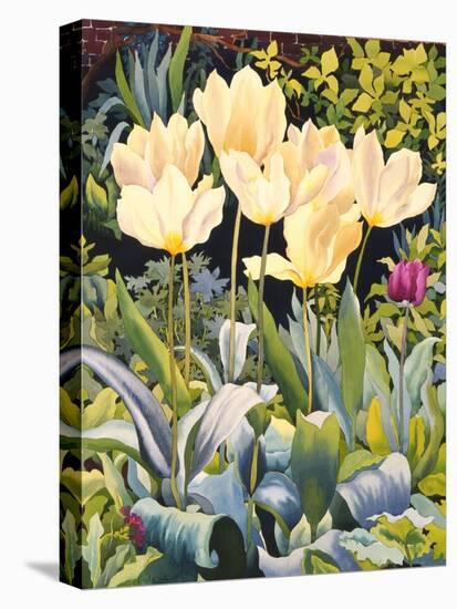 Pale Tulips-Christopher Ryland-Premier Image Canvas