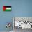 Palestine Flag Design with Wood Patterning - Flags of the World Series-Philippe Hugonnard-Stretched Canvas displayed on a wall