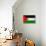 Palestine Flag Design with Wood Patterning - Flags of the World Series-Philippe Hugonnard-Stretched Canvas displayed on a wall