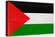 Palestine Flag Design with Wood Patterning - Flags of the World Series-Philippe Hugonnard-Stretched Canvas