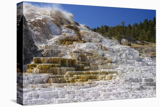 Palette Spring, Travertine Terraces, Mammoth Hot Springs, Yellowstone National Park, Wyoming-Gary Cook-Premier Image Canvas