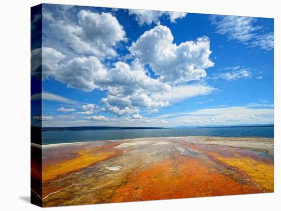 Pallets of Colors-Philippe Sainte-Laudy-Premier Image Canvas