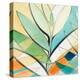 Palm Abstract II-Lanie Loreth-Stretched Canvas