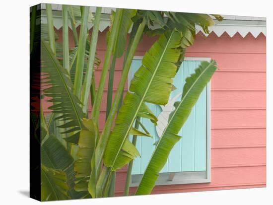 Palm and Pineapple Shutters Detail, Great Abaco Island, Bahamas-Walter Bibikow-Premier Image Canvas