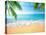 Palm and Tropical Beach-Aleksandr Ozerov-Premier Image Canvas