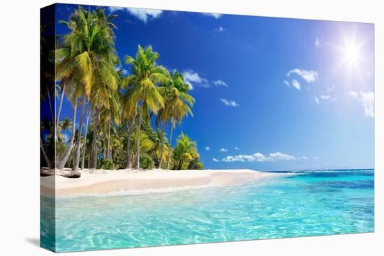 Palm Beach in Tropical Idyllic Paradise Island - Caribbean - Guadalupe-Romolo Tavani-Premier Image Canvas