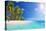 Palm Beach in Tropical Idyllic Paradise Island - Caribbean - Guadalupe-Romolo Tavani-Premier Image Canvas