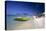 Palm Beach View, Aruba-George Oze-Premier Image Canvas