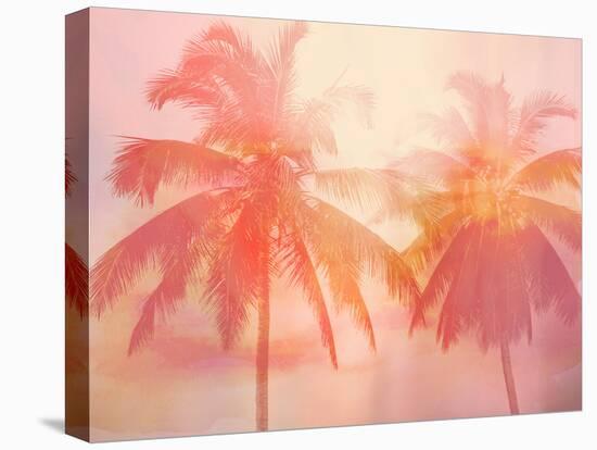 Palm Breeze II-Mia Jensen-Stretched Canvas