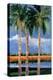 Palm Coast-Jane Slivka-Stretched Canvas