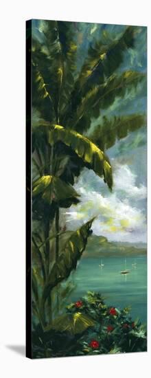 Palm Cove I-J^ Martin-Stretched Canvas