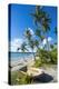 Palm Fringed White Sand Beach on an Islet of Vava'U, Tonga, South Pacific-Michael Runkel-Premier Image Canvas