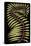 Palm Frond III-null-Stretched Canvas