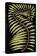 Palm Frond III-null-Stretched Canvas