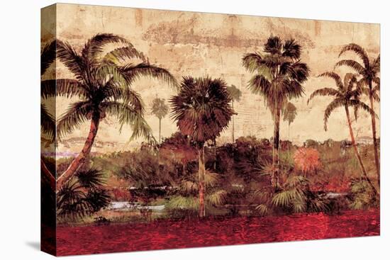 Palm Garden-John Seba-Stretched Canvas