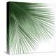 Palm Green VI-Mia Jensen-Stretched Canvas