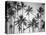 Palm Heaven-Design Fabrikken-Premier Image Canvas