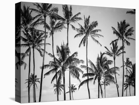 Palm Heaven-Design Fabrikken-Premier Image Canvas