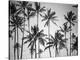 Palm Heaven-Design Fabrikken-Premier Image Canvas