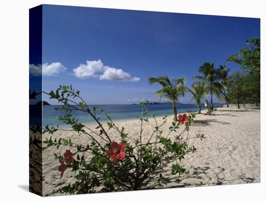 Palm Island, Near Young Island, the Grenadines, Windward Islands-Fraser Hall-Premier Image Canvas