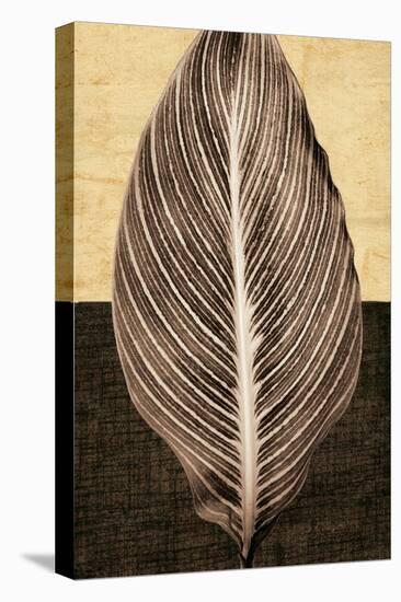 Palm Leaf I-John Seba-Stretched Canvas