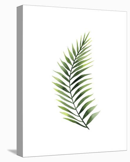 Palm Leaf II-Ann Solo-Stretched Canvas